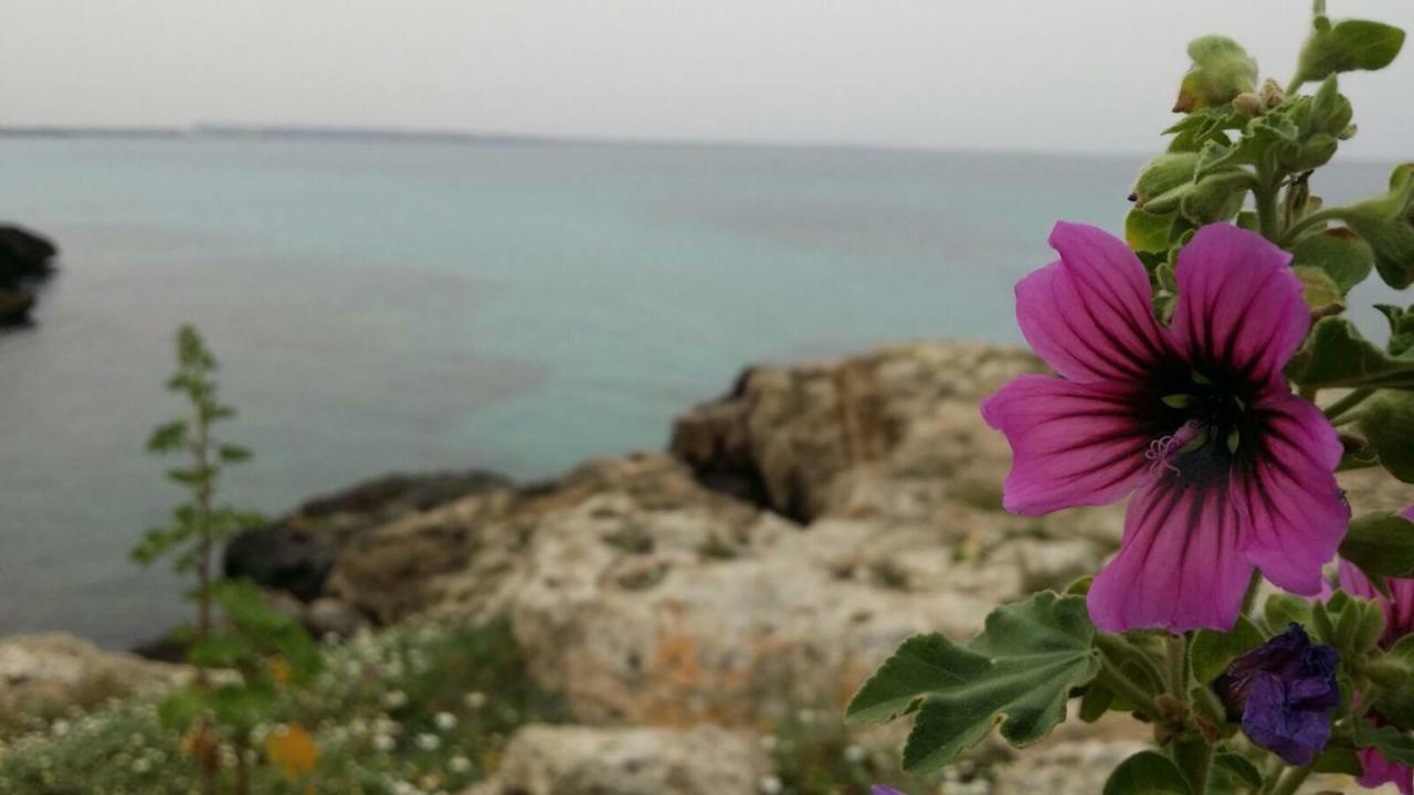252 Via Udine Villa Gallipoli Kültér fotó